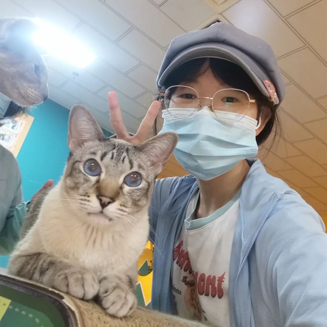 毕业生故事 | 二次元少女的动漫奇遇记插图1