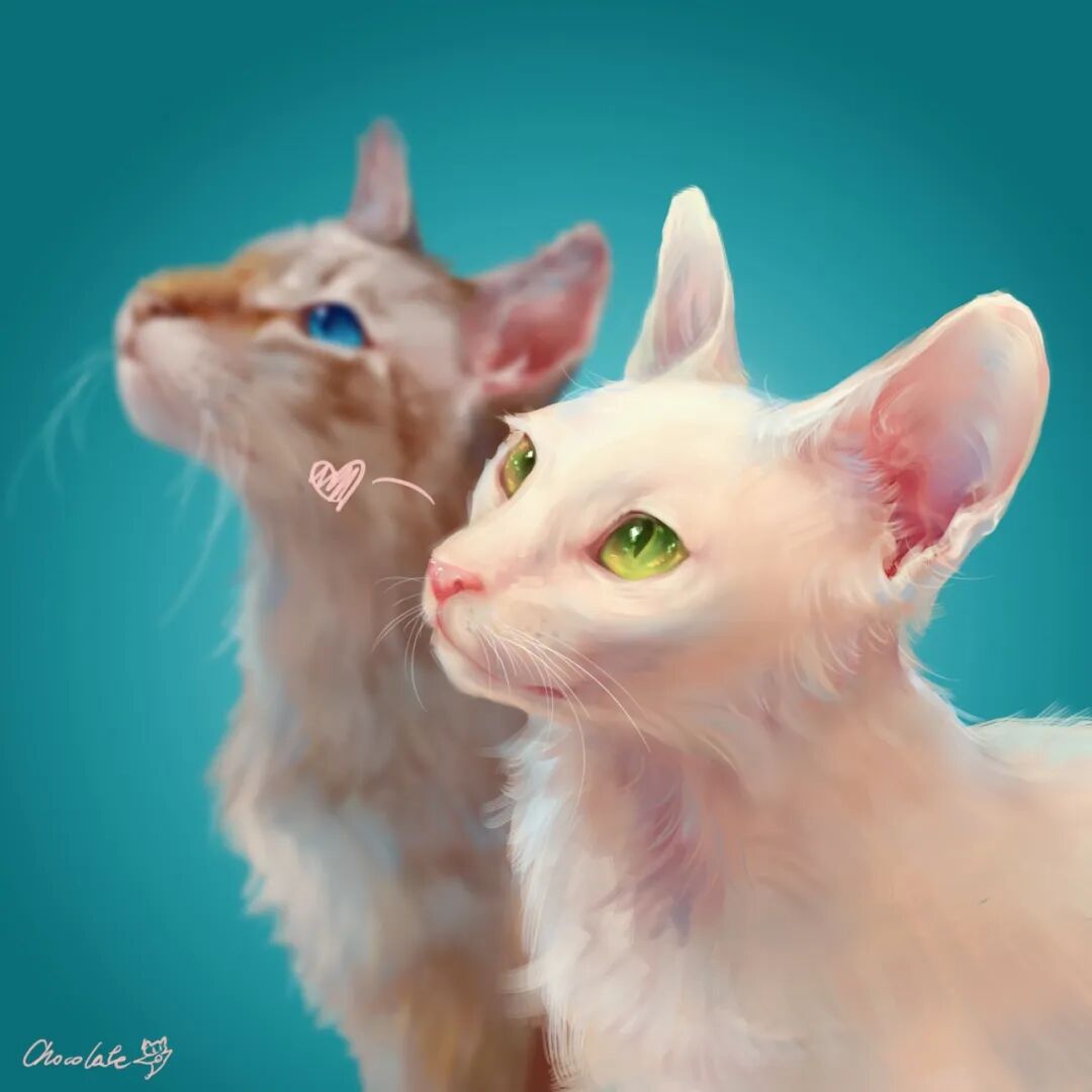 毕业生故事 | 二次元少女的动漫奇遇记插图4