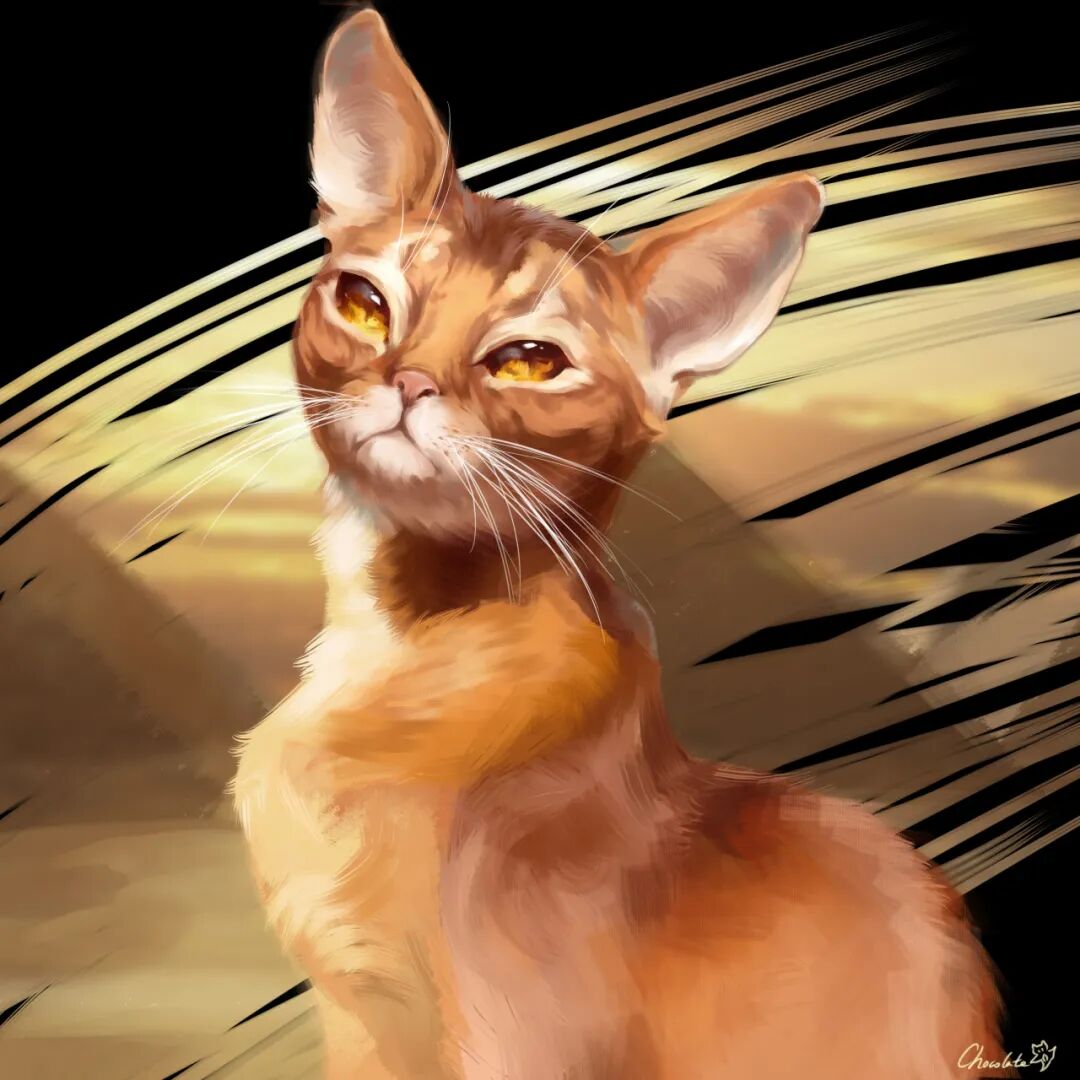 毕业生故事 | 二次元少女的动漫奇遇记插图5