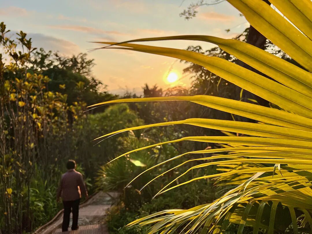 银发知青|李天统《下乡晨光农场的趣事》