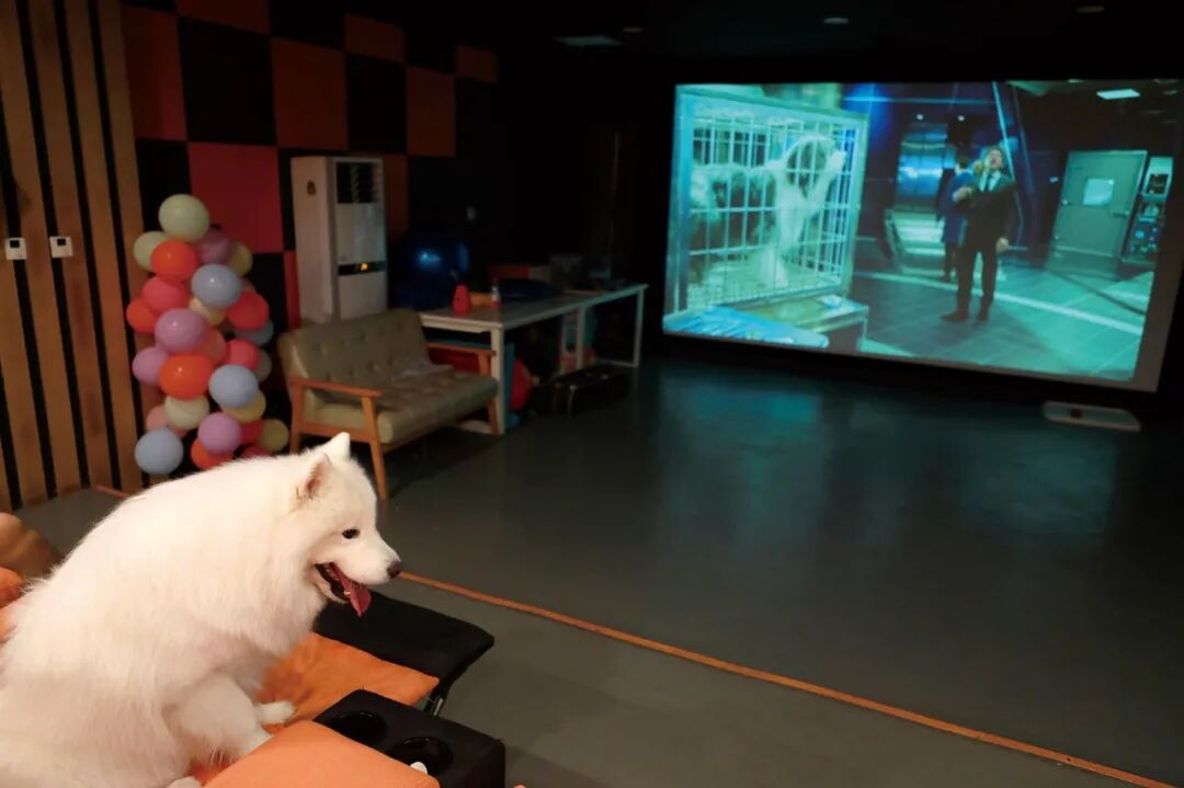 “胖虎”在幼儿园体验萌兽影院