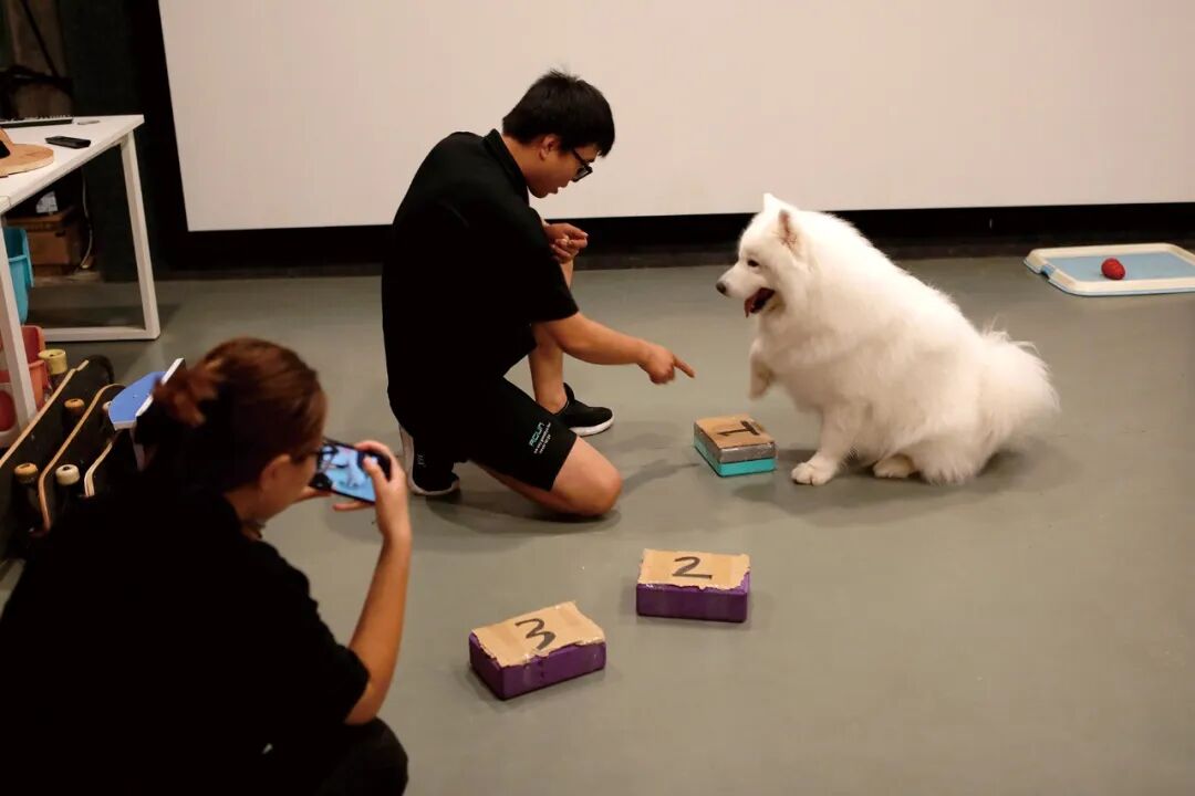 “胖虎”参加幼儿园的益智类游戏课程