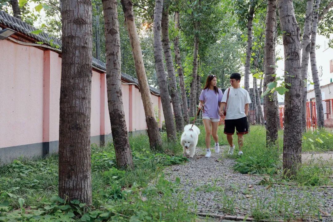 “胖虎”今年两岁半。它的“家长”是一对95后夫妻，平时热爱旅游，每个月都会把“胖虎”送来宠物酒店寄养几天