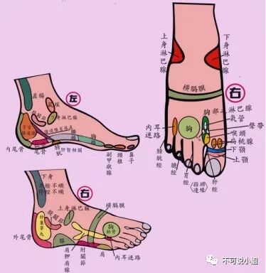脚底穴位对应的器官图解】脚底穴位对应图及按摩方法