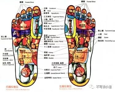 脚底穴位对应的器官图解】脚底穴位对应图及按摩方法