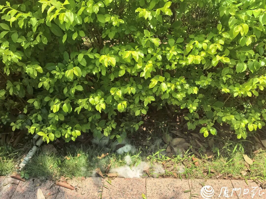 微信图片_20260527164554_8438_16.jpg