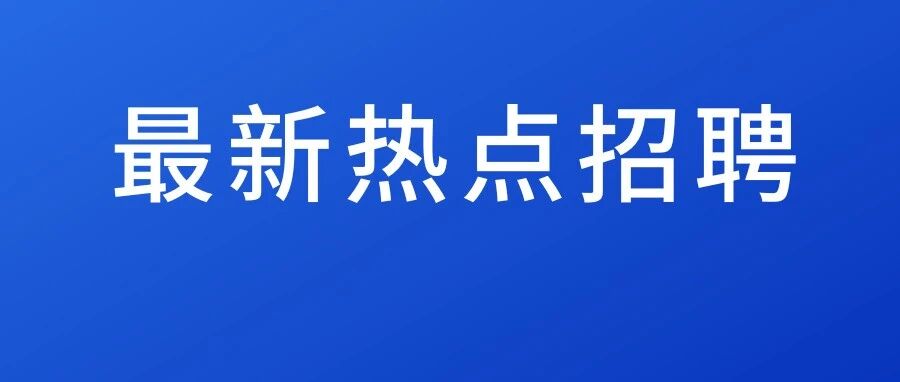 海南报关员招聘！