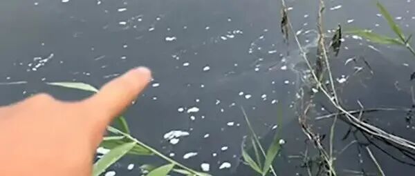 文章封面