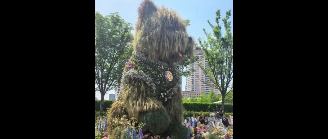 文章封面