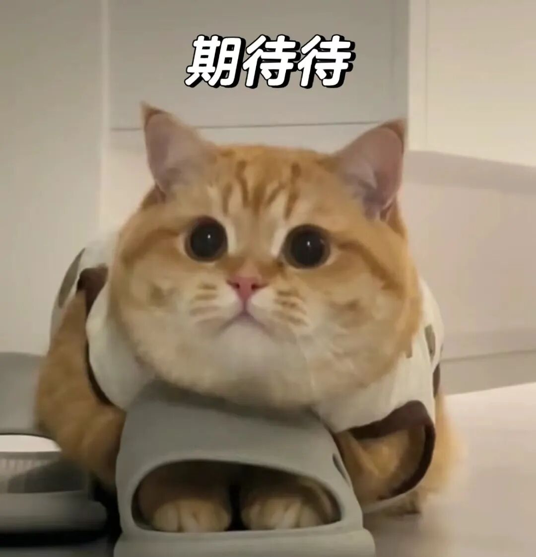 惊喜还没结束不多说了记得添加福利官小五哦扫描下方二维码一切问题迎