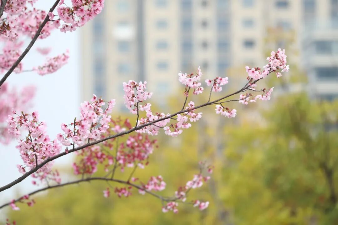 5K2A7895.JPG