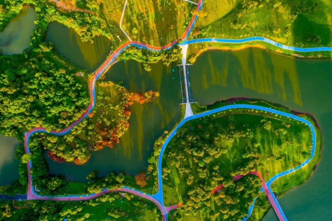 2024绿美珠海(25)| 激发群众活力,守护森林资源——珠海出台"民间林长