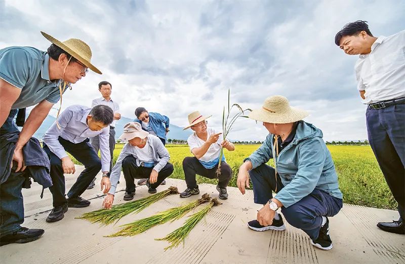 解民生治学问育英才的科技小院