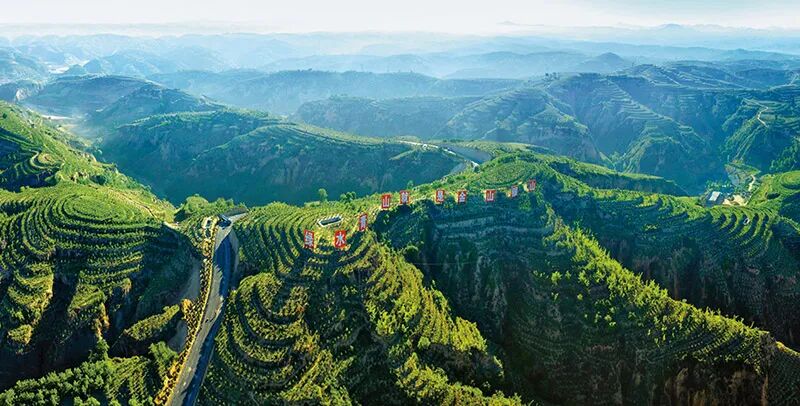 山西省吕梁山地区通过实施"三北"等重点生态工程,持续推进防风固沙林