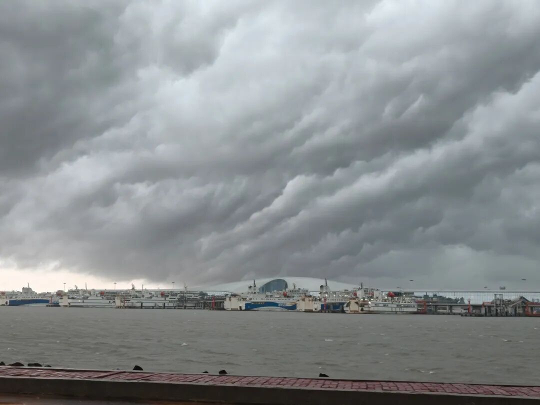 受台风“韦帕”影响，琼州海峡航线将全线停运，图为7月19日的徐闻港。湛江海事局供图