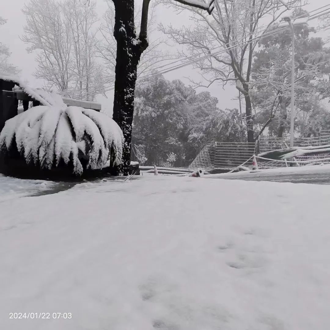 2024年Jan月14日 宜春市天气