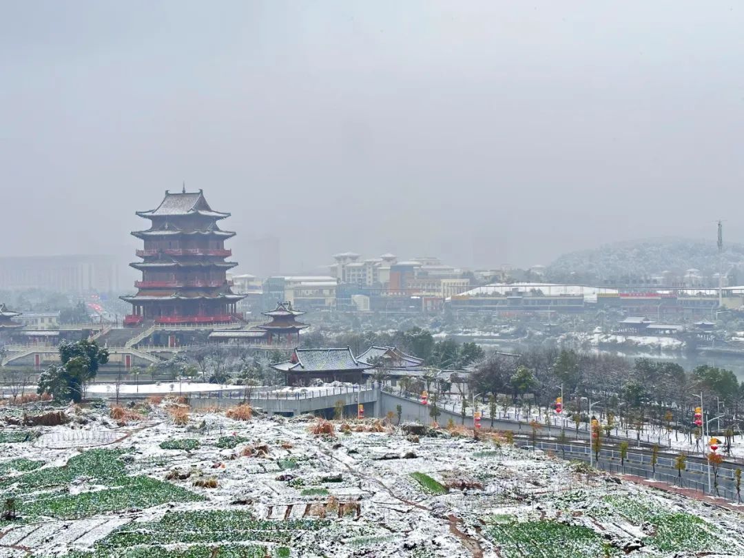 2024年Jan月14日 宜春市天气