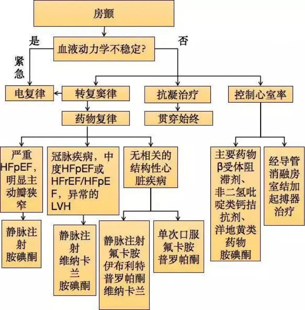 急性房颤如何处理？超实用干货