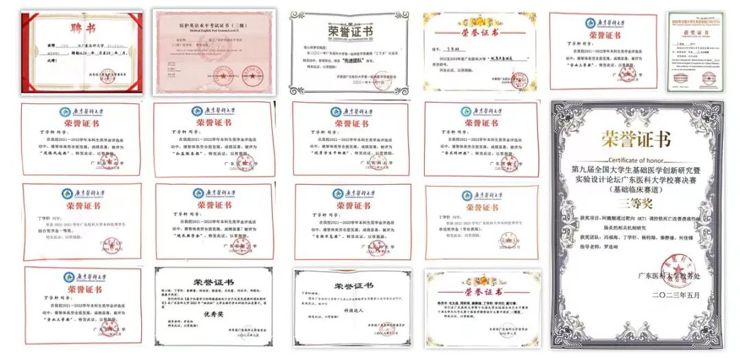 英国上市公司365