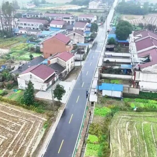 王祖贤两天涨粉百万,安徽老家网友感谢她33年前捐钱修路,村支书:是沥青路,修好后我骑车上学,路上耗时减半