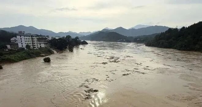 无人机技术大揭秘：从飞行原理到行业前景，小白也能看懂！