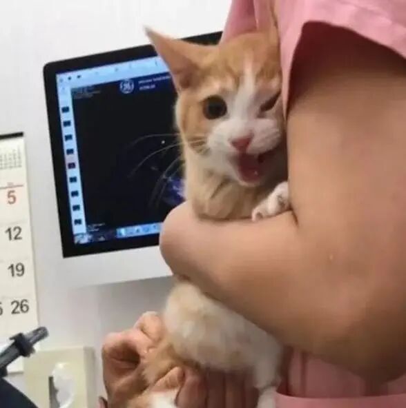 为什么输血不能用小针小时候常打的屁股针，怎么现在很少见了？_https://www.jmylbn.com_新闻资讯_第6张