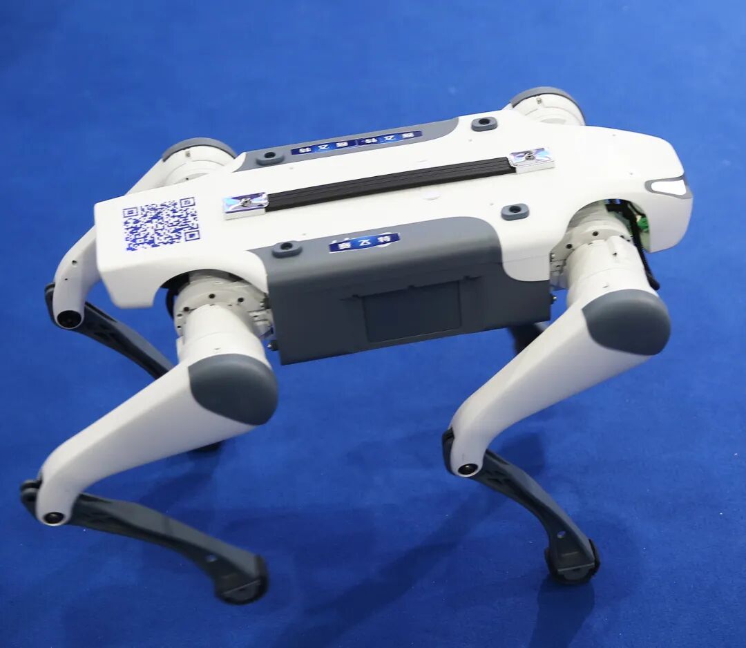 赛飞特 小机械狗 FE2A7497W.jpg