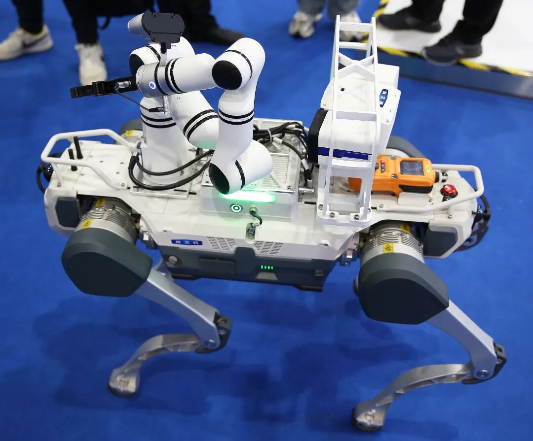 赛飞特 大机械狗 FE2A7518W.jpg