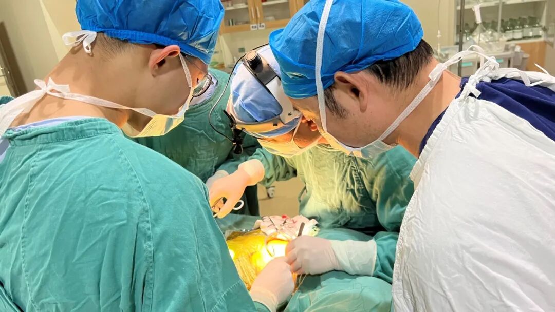 gore医疗怎么样「胸有乾坤」可调可控 从容不迫——GORE® TAG® 可主动调控胸主动脉覆膜支架治疗巨大胸主动脉瘤病例报道_https://www.jmylbn.com_新闻资讯_第14张