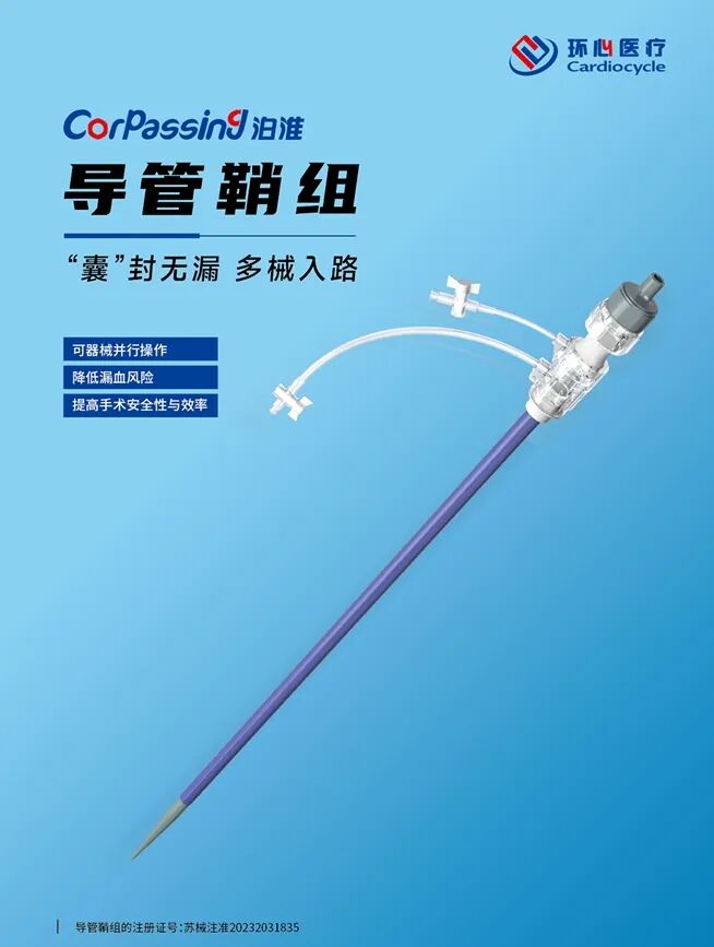 血管鞘组是什么器械百科丨Corpassing泊淮™ 导管鞘组_https://www.jmylbn.com_新闻资讯_第4张