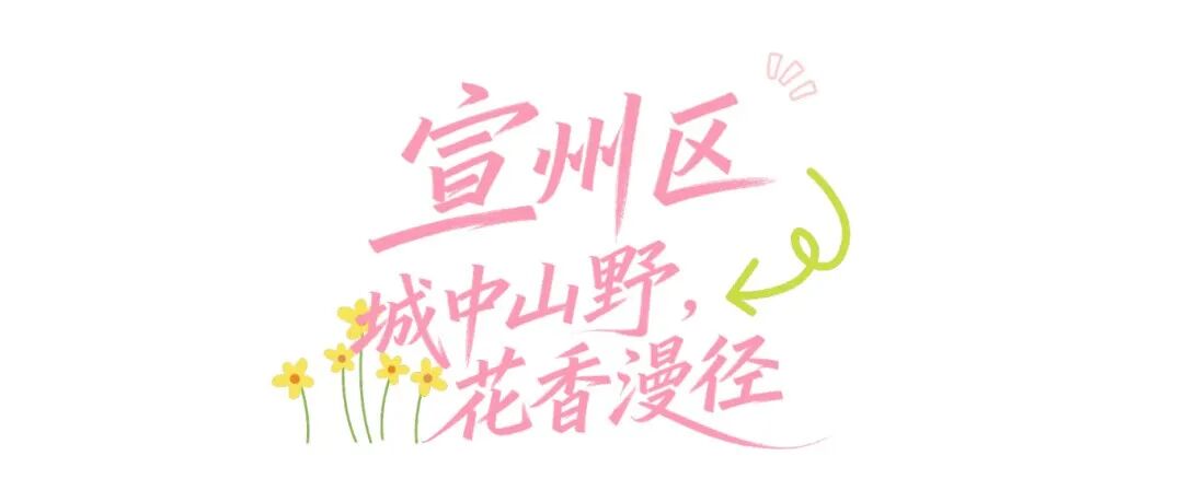 蓝绿色现代简约旅行生活小红书Plog (2).png