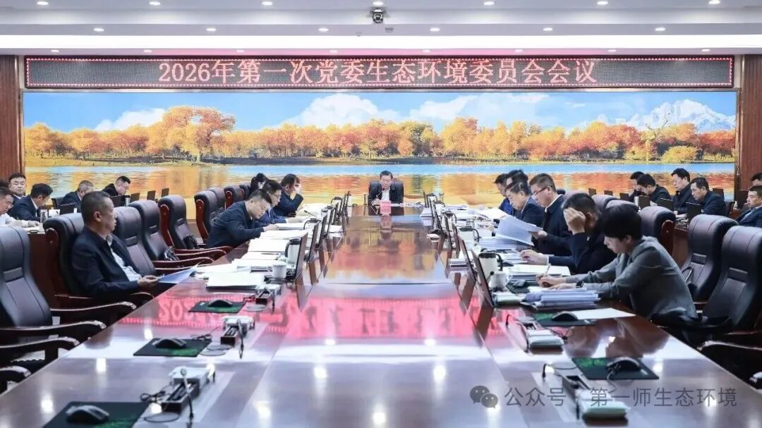 师市党委生态环境委员会会议召开