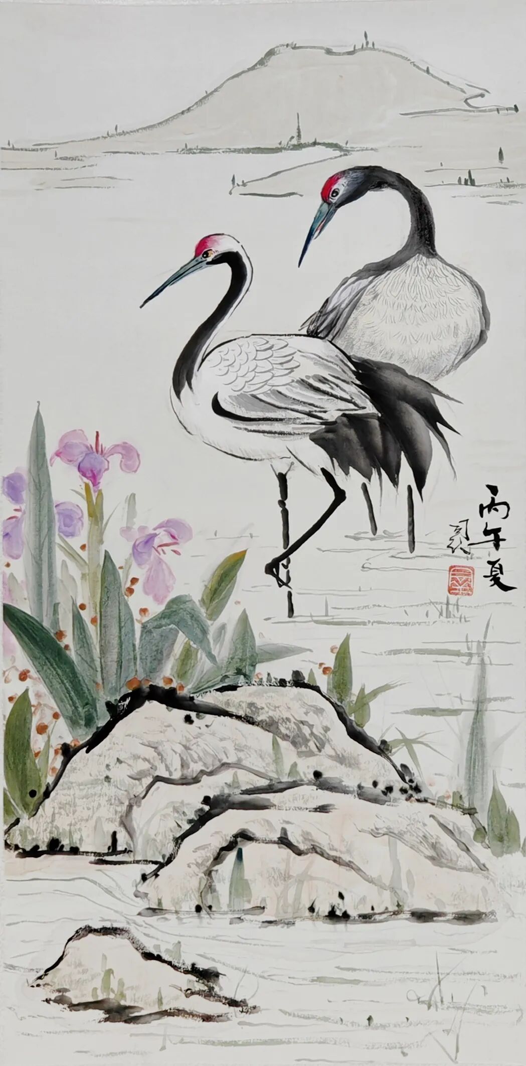 图片