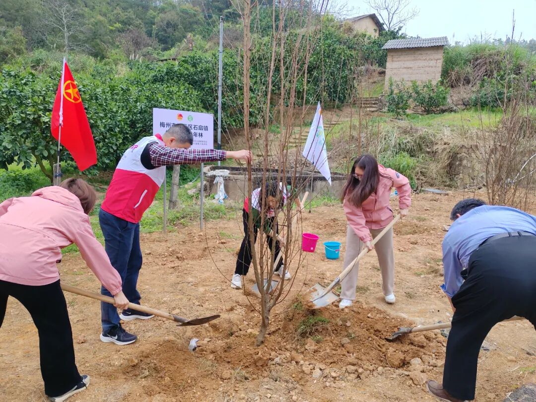 梅州市梅县区石扇镇人民政府信息公开