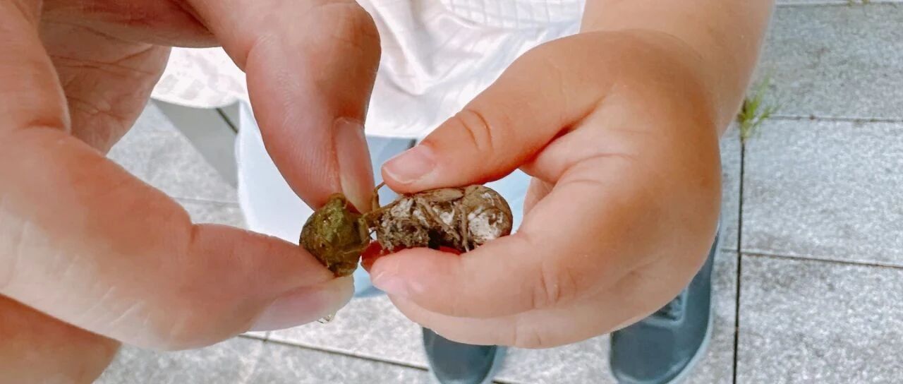 万事万物都是爸爸妈妈