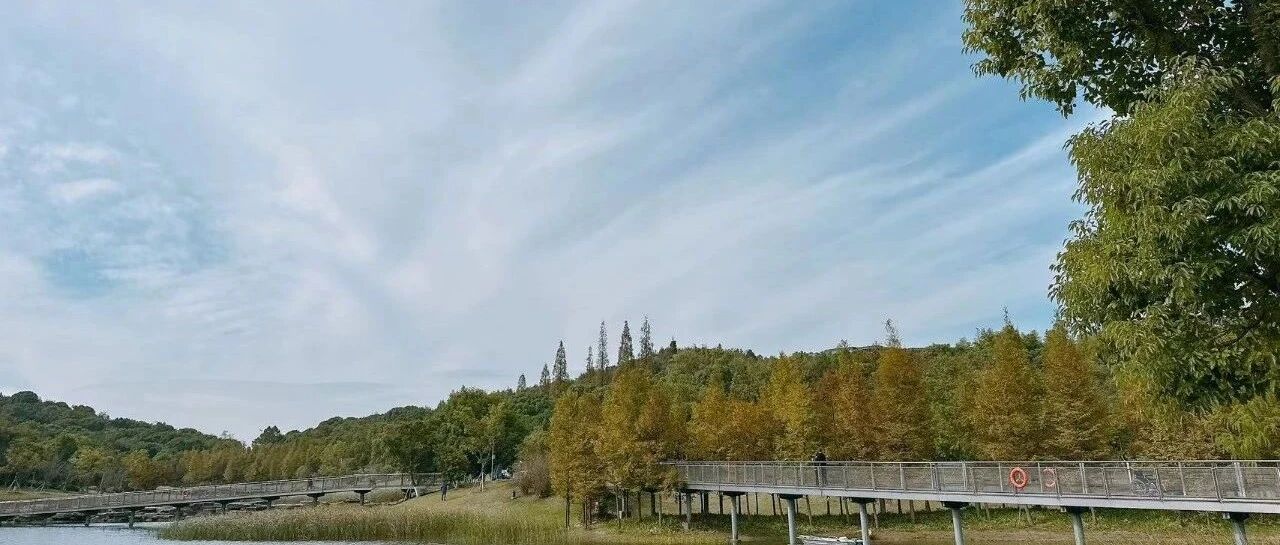 我的人形小挂件