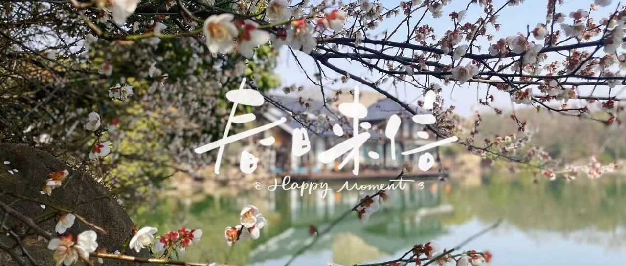 这个春天，体会到微小的幸福