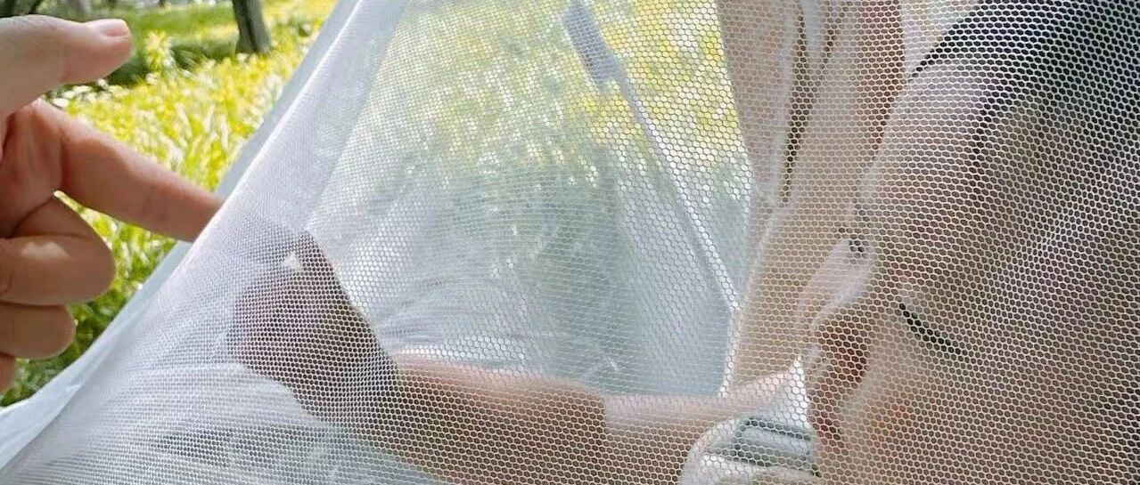 宝宝如何预防基孔肯雅热？夏日防蚊攻略