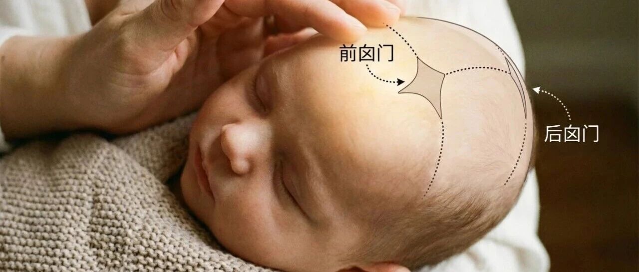 女儿18个月，囟门"闭合"了！聊聊宝宝头顶的"软肋"
