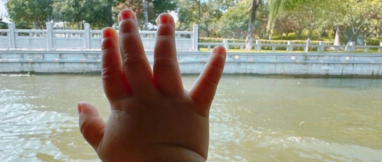 1岁，婴儿和幼儿的分界点