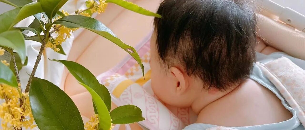 人类幼崽观察日记（3个月25天）