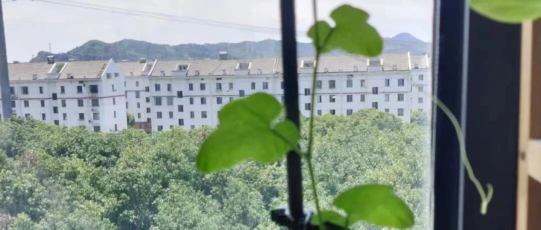 2022.7月读书小结