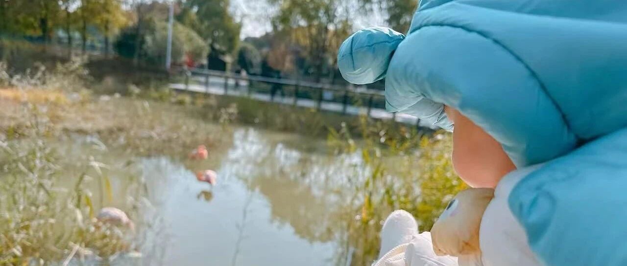一个六月龄的小宝宝