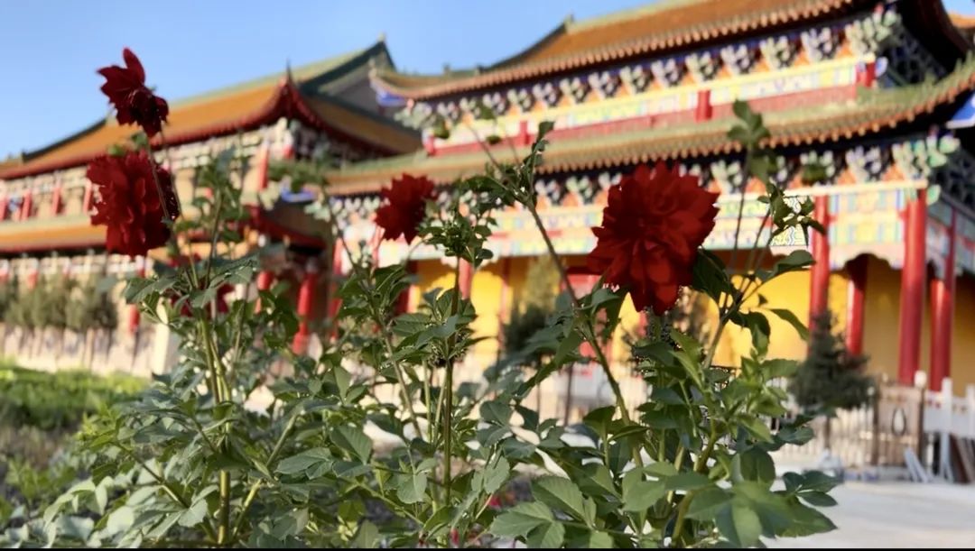 佛教安居解夏是哪一天