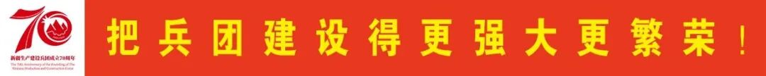 乡村振兴看十团 | 十团六连：棉花大丰收