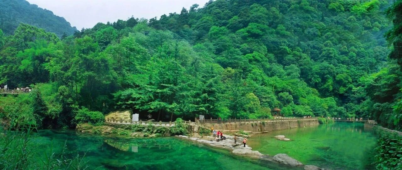 六五环境日将至 |这份“绿色答卷”，峨眉山邀你来亲眼见证