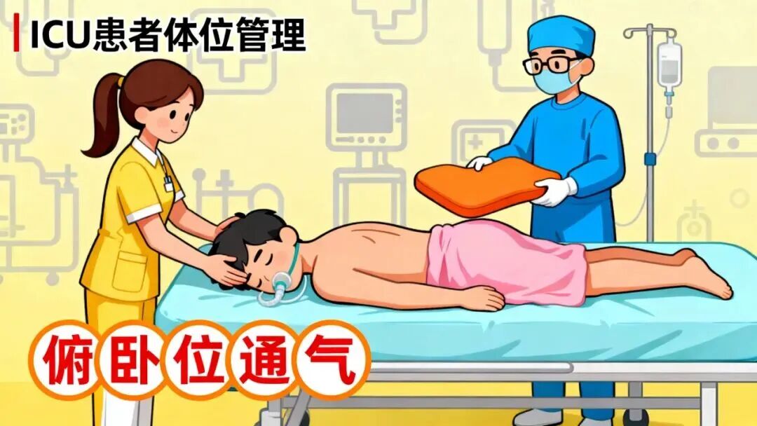 微信图片_2026-06-04_101405_174.jpg