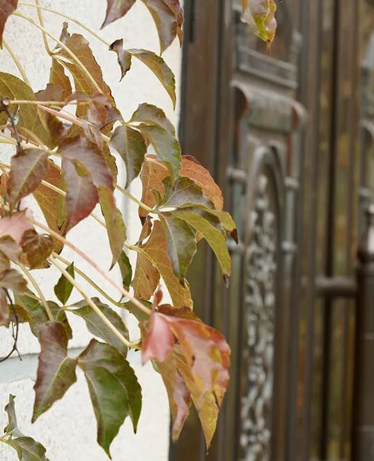 数字医用英文怎么拼新幼教师讲故事 ｜ 一起来拼数字宝宝吧！_https://www.jmylbn.com_新闻资讯_第4张