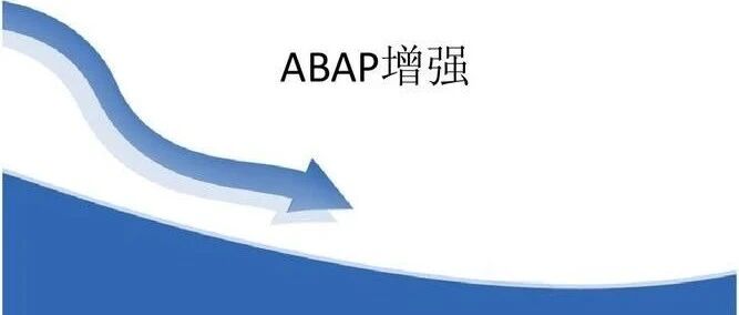 BSEGBSIDBSAD 增加自定义字段 - 封面图