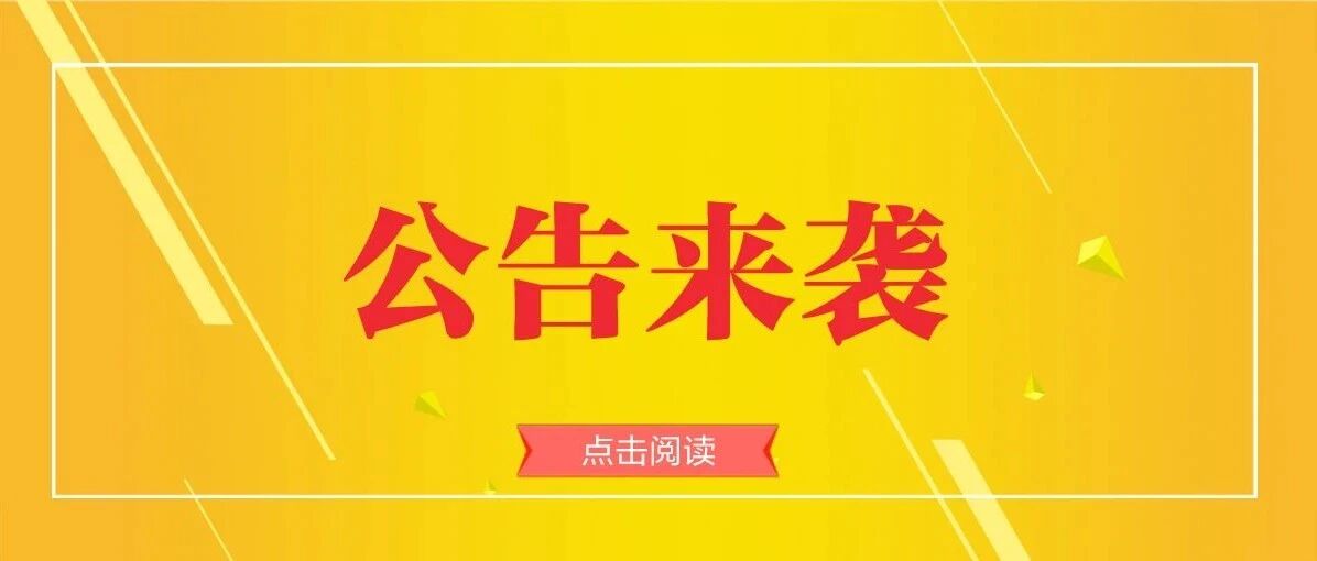 事业编，2024-2025深圳市龙岗区招聘15人公告（10月25日截止）